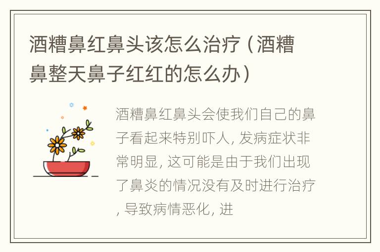 酒糟鼻红鼻头该怎么治疗（酒糟鼻整天鼻子红红的怎么办）