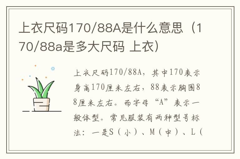 上衣尺码170/88A是什么意思（170/88a是多大尺码 上衣）