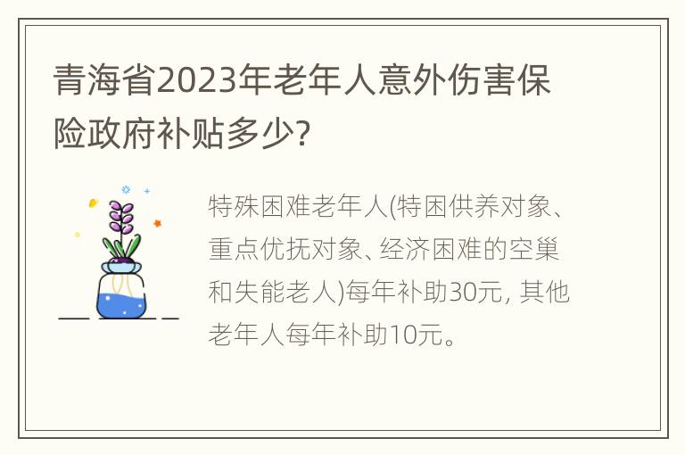 青海省2023年老年人意外伤害保险政府补贴多少？