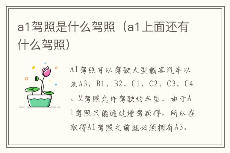 a1驾照是什么驾照（a1上面还有什么驾照）