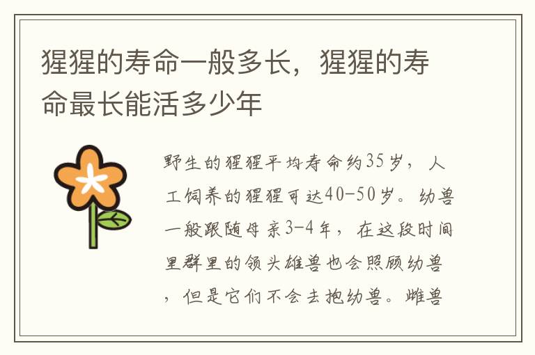 猩猩的寿命一般多长，猩猩的寿命最长能活多少年