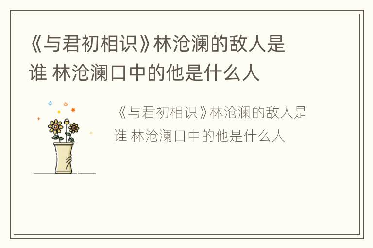《与君初相识》林沧澜的敌人是谁 林沧澜口中的他是什么人