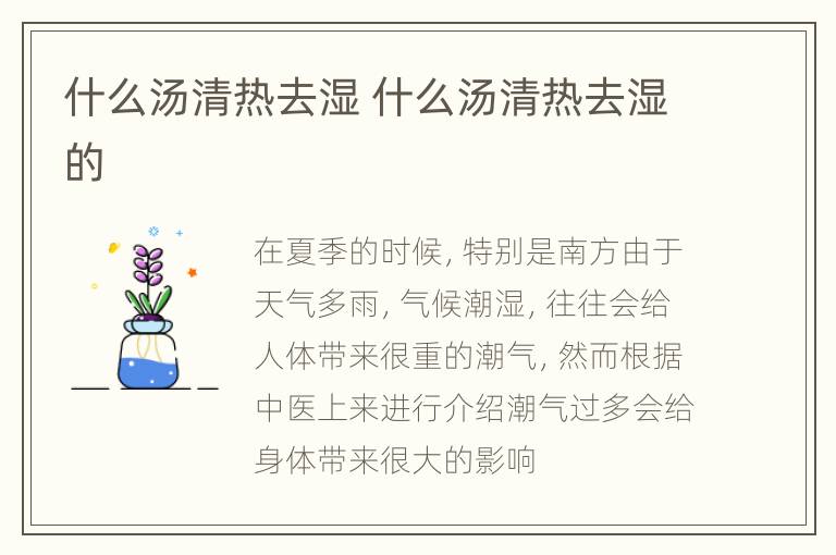 什么汤清热去湿 什么汤清热去湿的