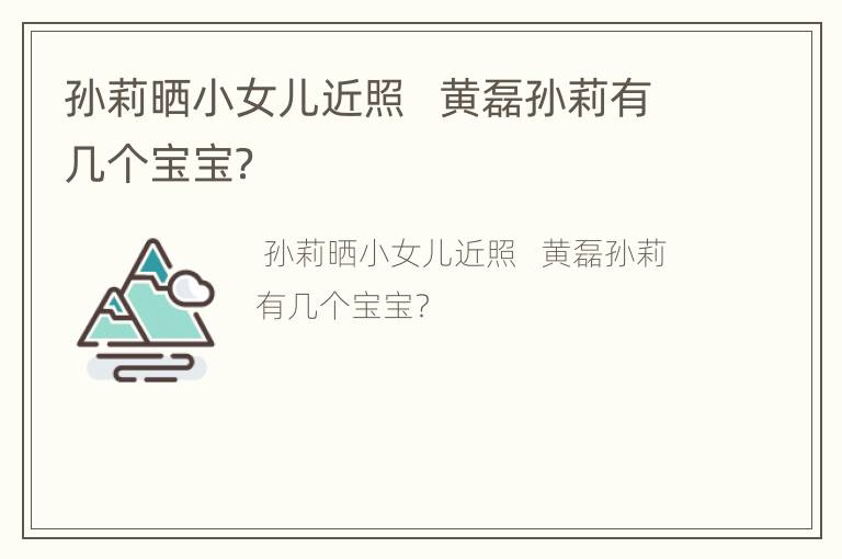 孙莉晒小女儿近照   黄磊孙莉有几个宝宝？