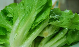 生菜不能和什么东西一起吃 生菜不能一起吃的食物