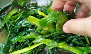 腌大蒜叶的方法和配料 大蒜叶家常腌制方法分享