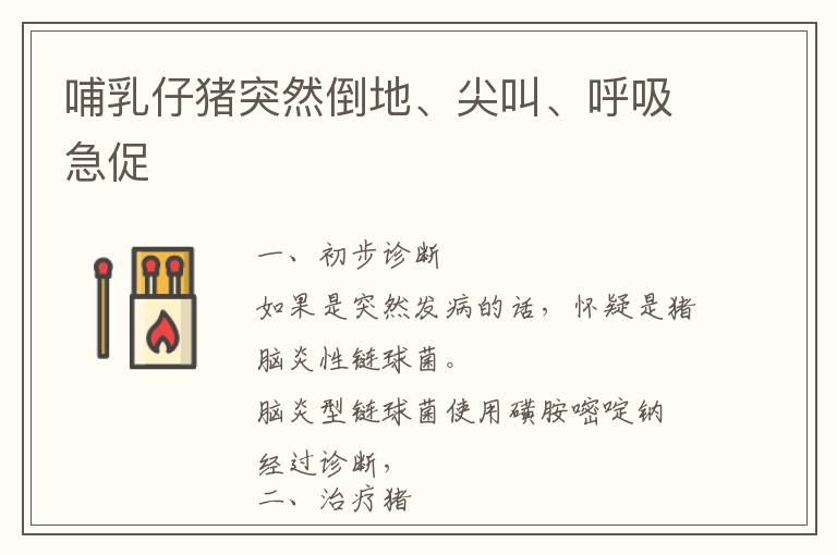 哺乳仔猪突然倒地、尖叫、呼吸急促