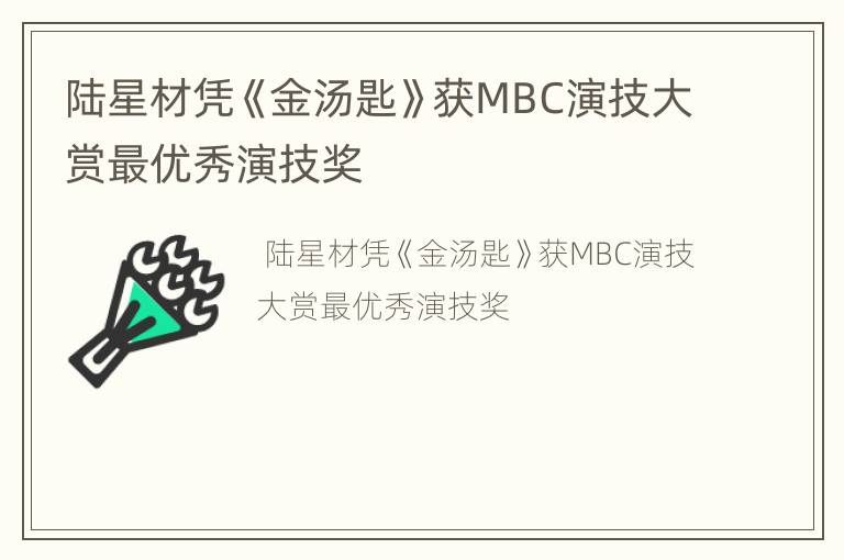 陆星材凭《金汤匙》获MBC演技大赏最优秀演技奖