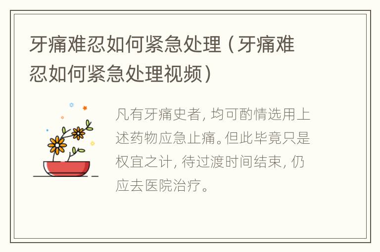 牙痛难忍如何紧急处理（牙痛难忍如何紧急处理视频）