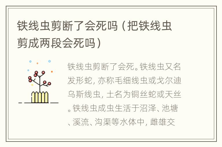 铁线虫剪断了会死吗（把铁线虫剪成两段会死吗）