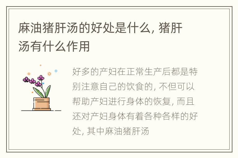 麻油猪肝汤的好处是什么，猪肝汤有什么作用