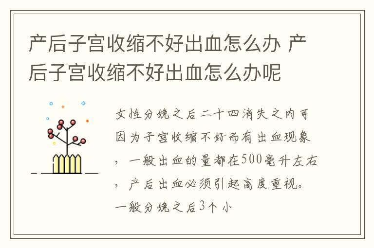 产后子宫收缩不好出血怎么办 产后子宫收缩不好出血怎么办呢