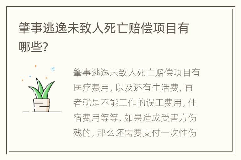 肇事逃逸未致人死亡赔偿项目有哪些？