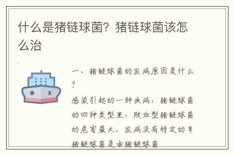 什么是猪链球菌？猪链球菌该怎么治