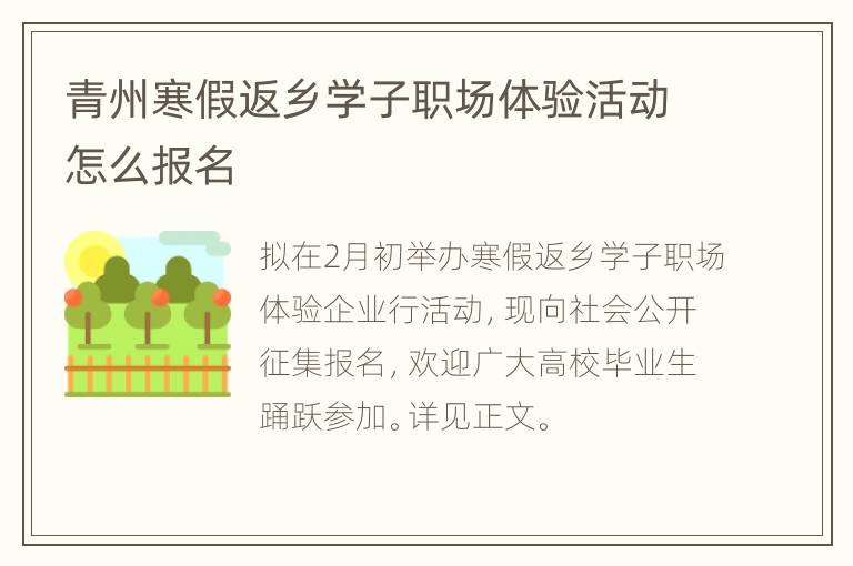 青州寒假返乡学子职场体验活动怎么报名