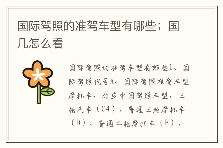 国际驾照的准驾车型有哪些；国几怎么看
