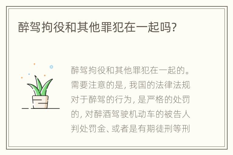 醉驾拘役和其他罪犯在一起吗？