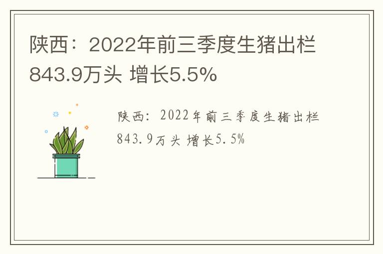 陕西：2022年前三季度生猪出栏843.9万头 增长5.5%
