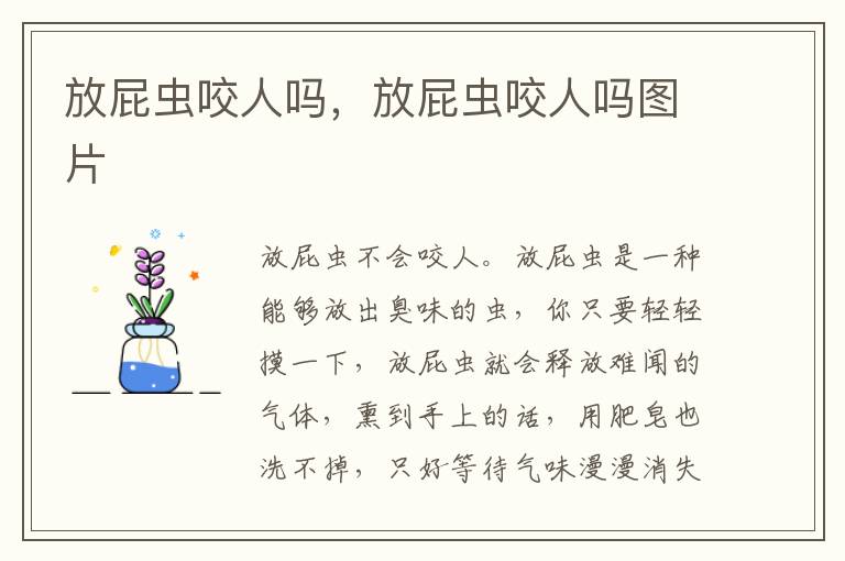 放屁虫咬人吗，放屁虫咬人吗图片