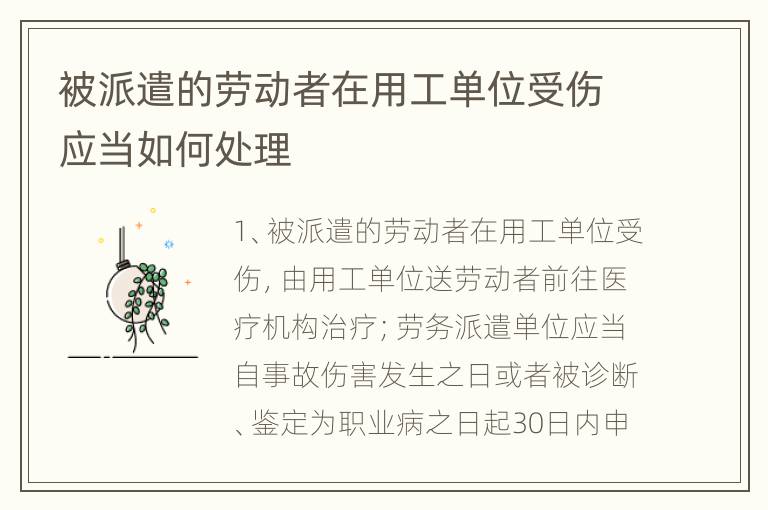 被派遣的劳动者在用工单位受伤应当如何处理