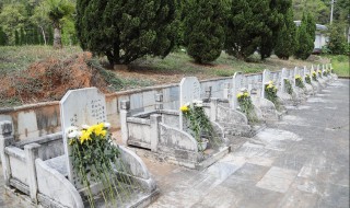 清明节扫墓几点最好 清明节几点扫墓最好