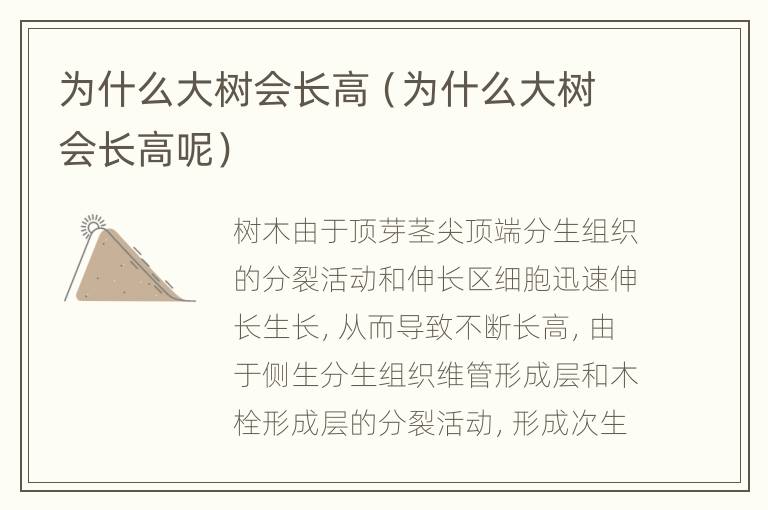 为什么大树会长高（为什么大树会长高呢）