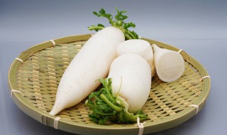 白萝卜可以减肥吗怎么减 吃白萝卜怎么减肥