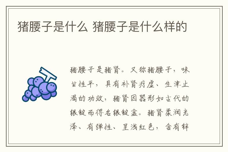 猪腰子是什么 猪腰子是什么样的