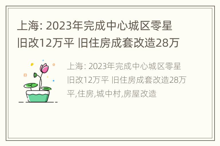 上海：2023年完成中心城区零星旧改12万平 旧住房成套改造28万平