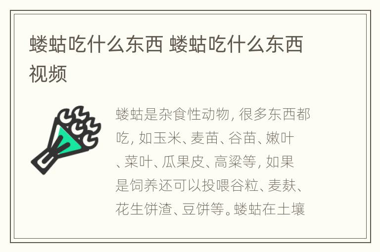 蝼蛄吃什么东西 蝼蛄吃什么东西视频