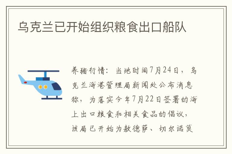 乌克兰已开始组织粮食出口船队