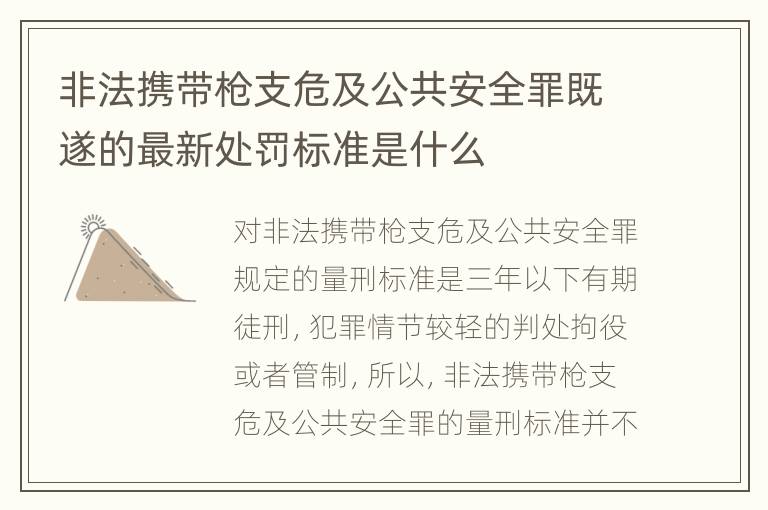非法携带枪支危及公共安全罪既遂的最新处罚标准是什么
