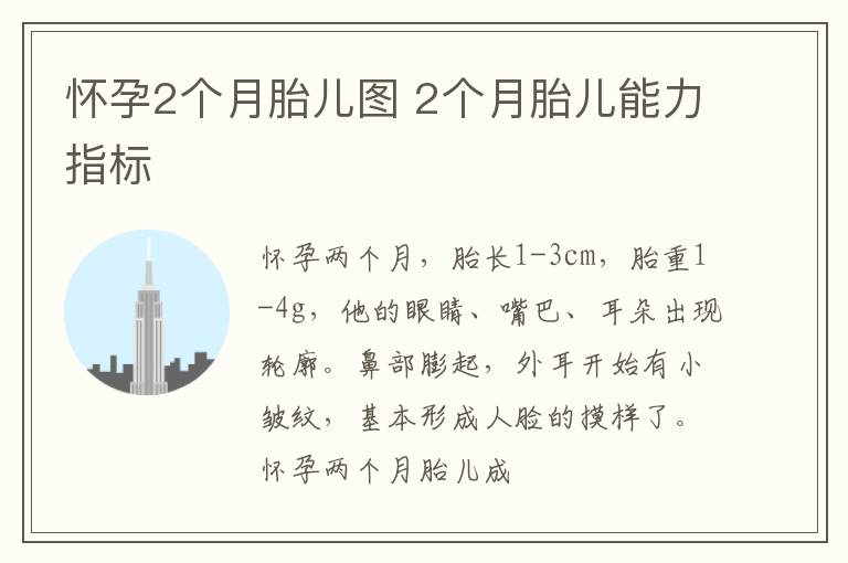 怀孕2个月胎儿图 2个月胎儿能力指标