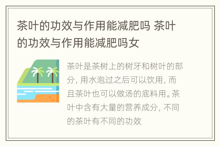 茶叶的功效与作用能减肥吗 茶叶的功效与作用能减肥吗女