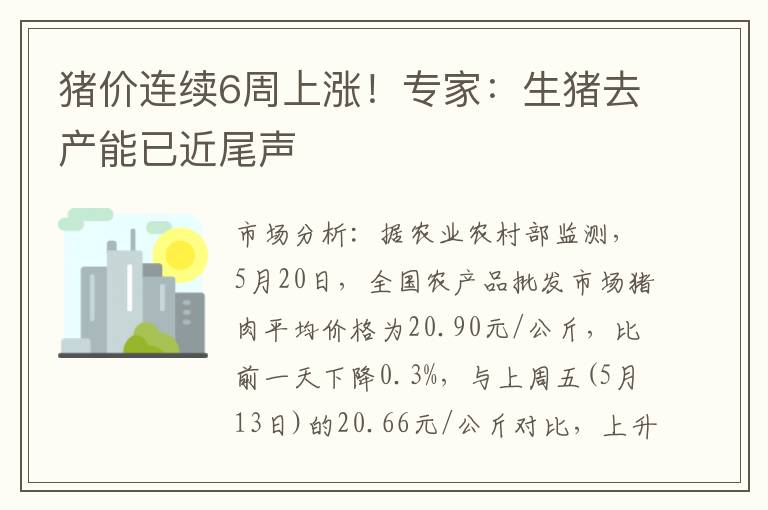 猪价连续6周上涨！专家：生猪去产能已近尾声