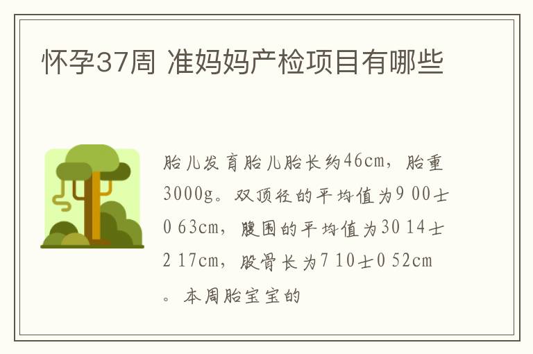 怀孕37周 准妈妈产检项目有哪些
