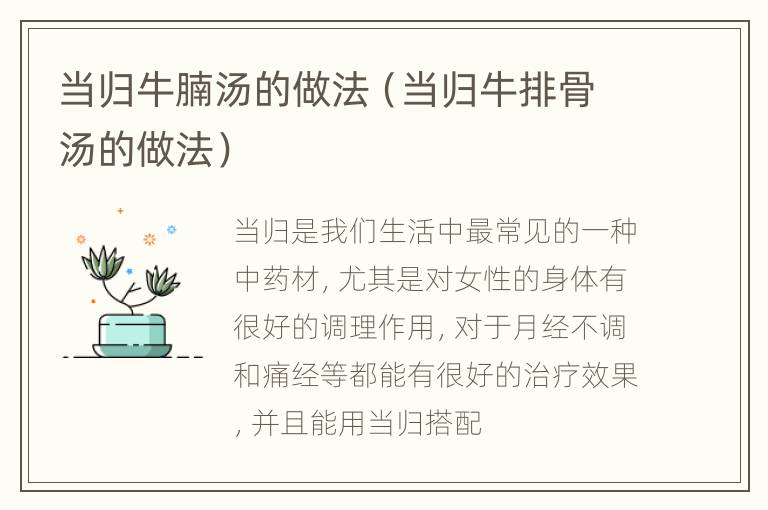 当归牛腩汤的做法（当归牛排骨汤的做法）