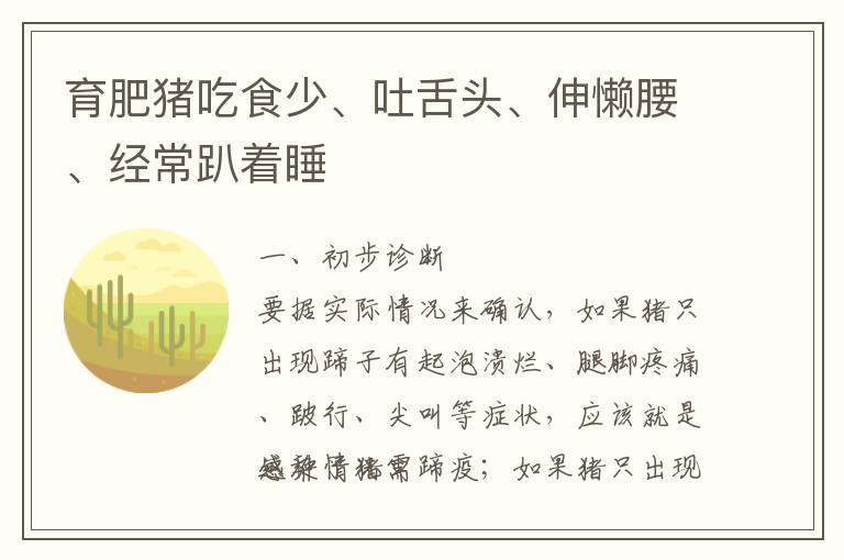 育肥猪吃食少、吐舌头、伸懒腰、经常趴着睡