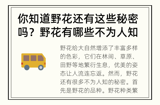 你知道野花还有这些秘密吗？ 野花有哪些不为人知的秘密？