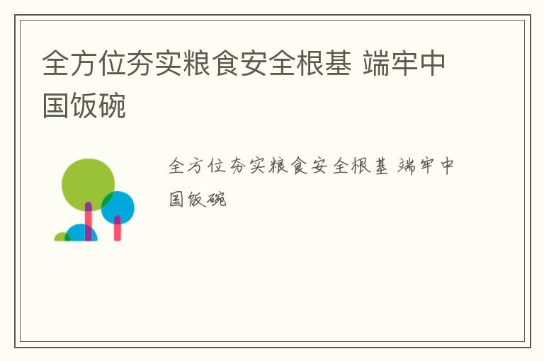 全方位夯实粮食安全根基 端牢中国饭碗