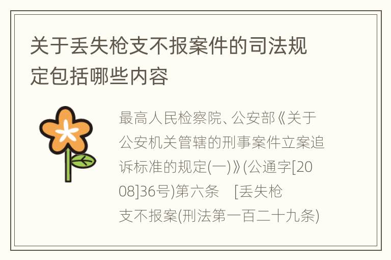 关于丢失枪支不报案件的司法规定包括哪些内容