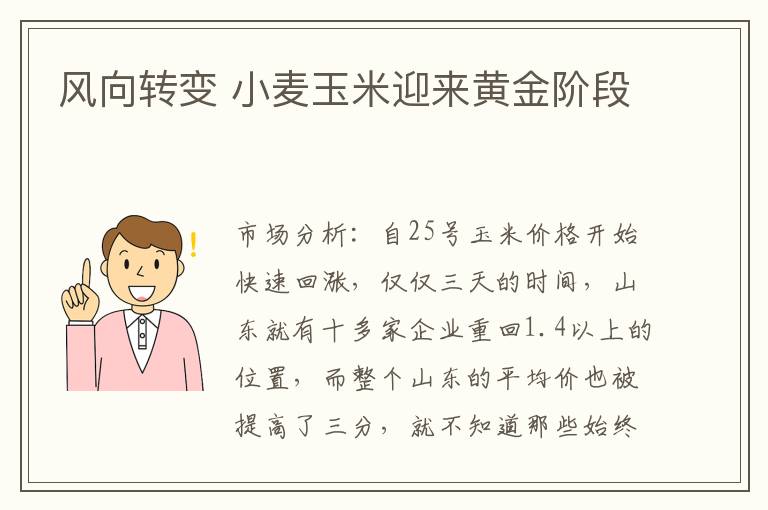 风向转变 小麦玉米迎来黄金阶段