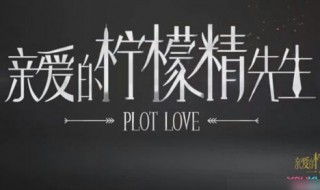 亲爱的柠檬精先生演员表 亲爱的柠檬精先生的剧情是怎样的