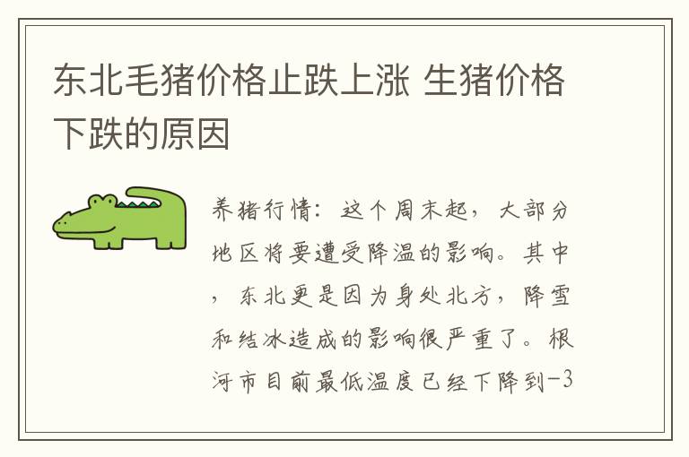 东北毛猪价格止跌上涨 生猪价格下跌的原因
