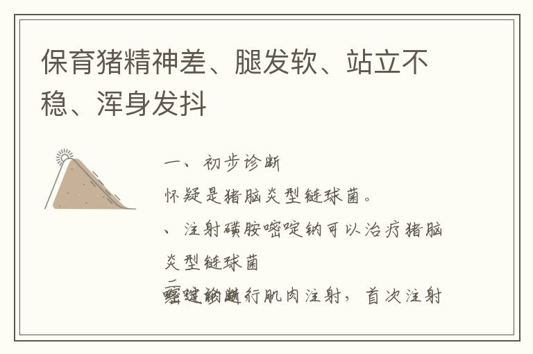 保育猪精神差、腿发软、站立不稳、浑身发抖
