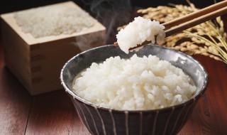 米饭需要蒸多长时间 米饭需要蒸多长时间才能熟