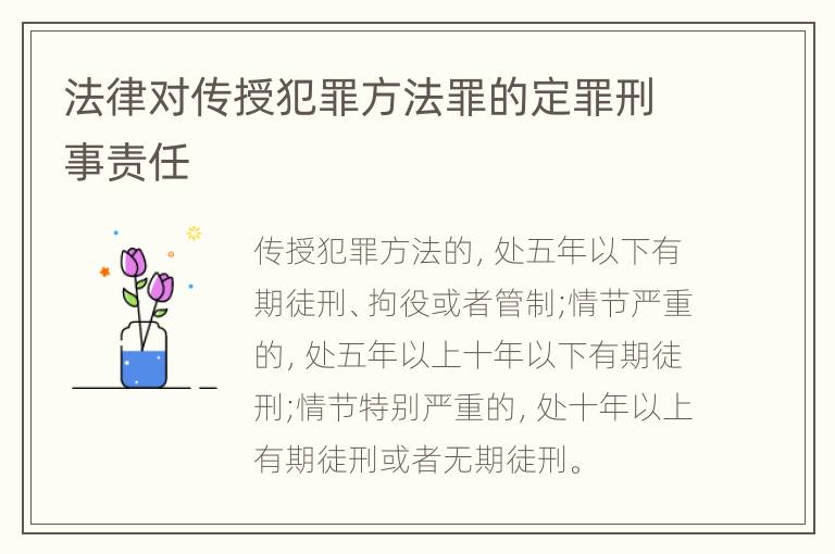 法律对传授犯罪方法罪的定罪刑事责任