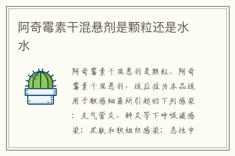 阿奇霉素干混悬剂是颗粒还是水水