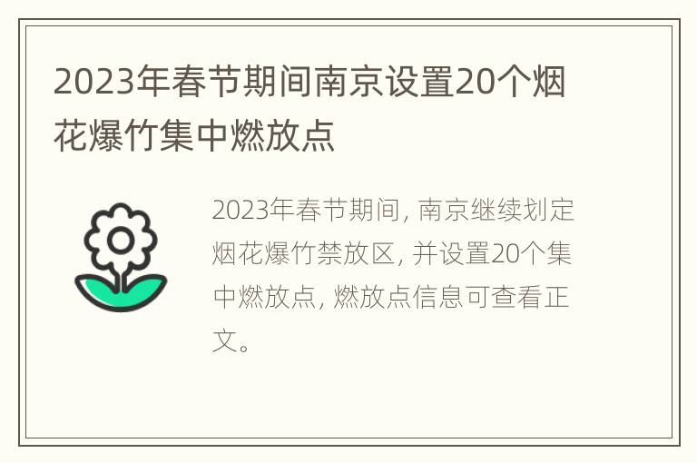 2023年春节期间南京设置20个烟花爆竹集中燃放点