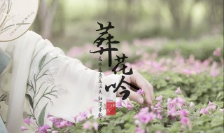 葬花吟中最经典的一句 葬花吟全文是什么